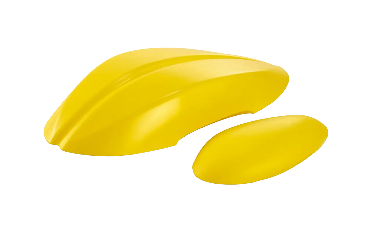 YELLOW-HEAD BACK