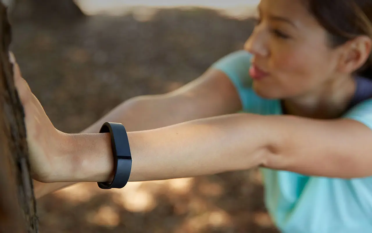 FITBIT FLEX