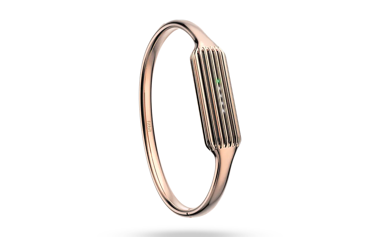 FITBIT FLEX 2