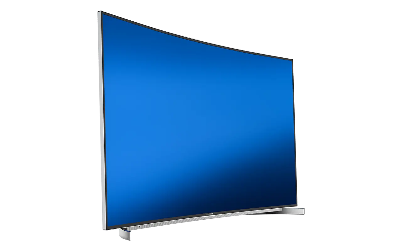 GRUNDIG FINE ARTS 65 FLX 9590