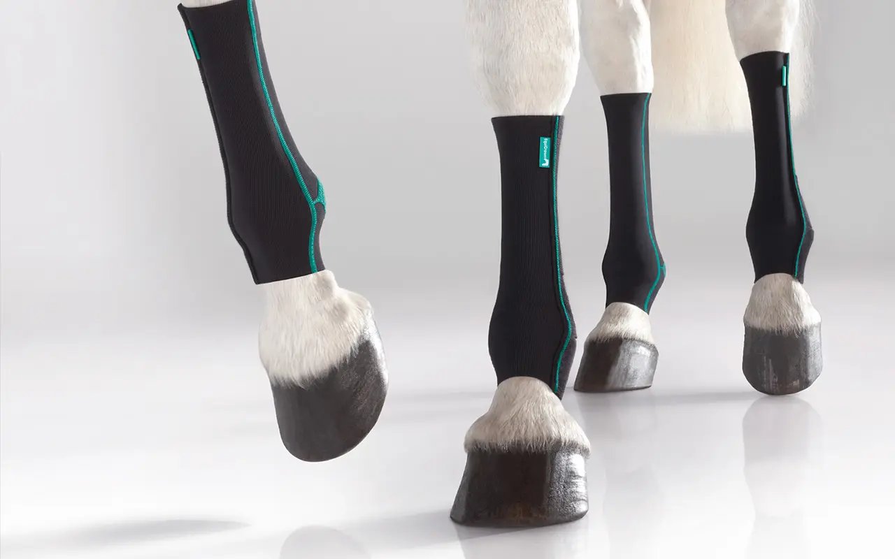 EQUICROWN® ACTIVE