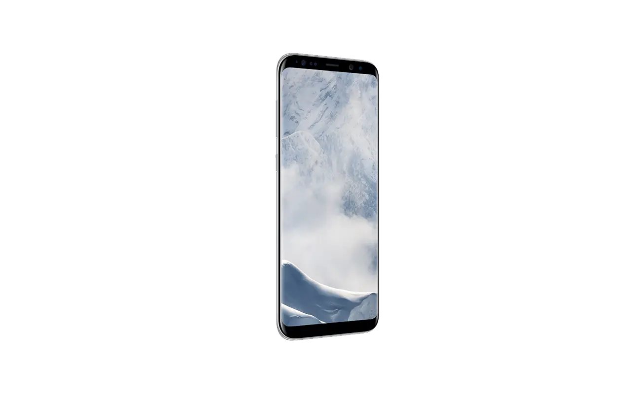 SAMSUNG GALAXY S8+