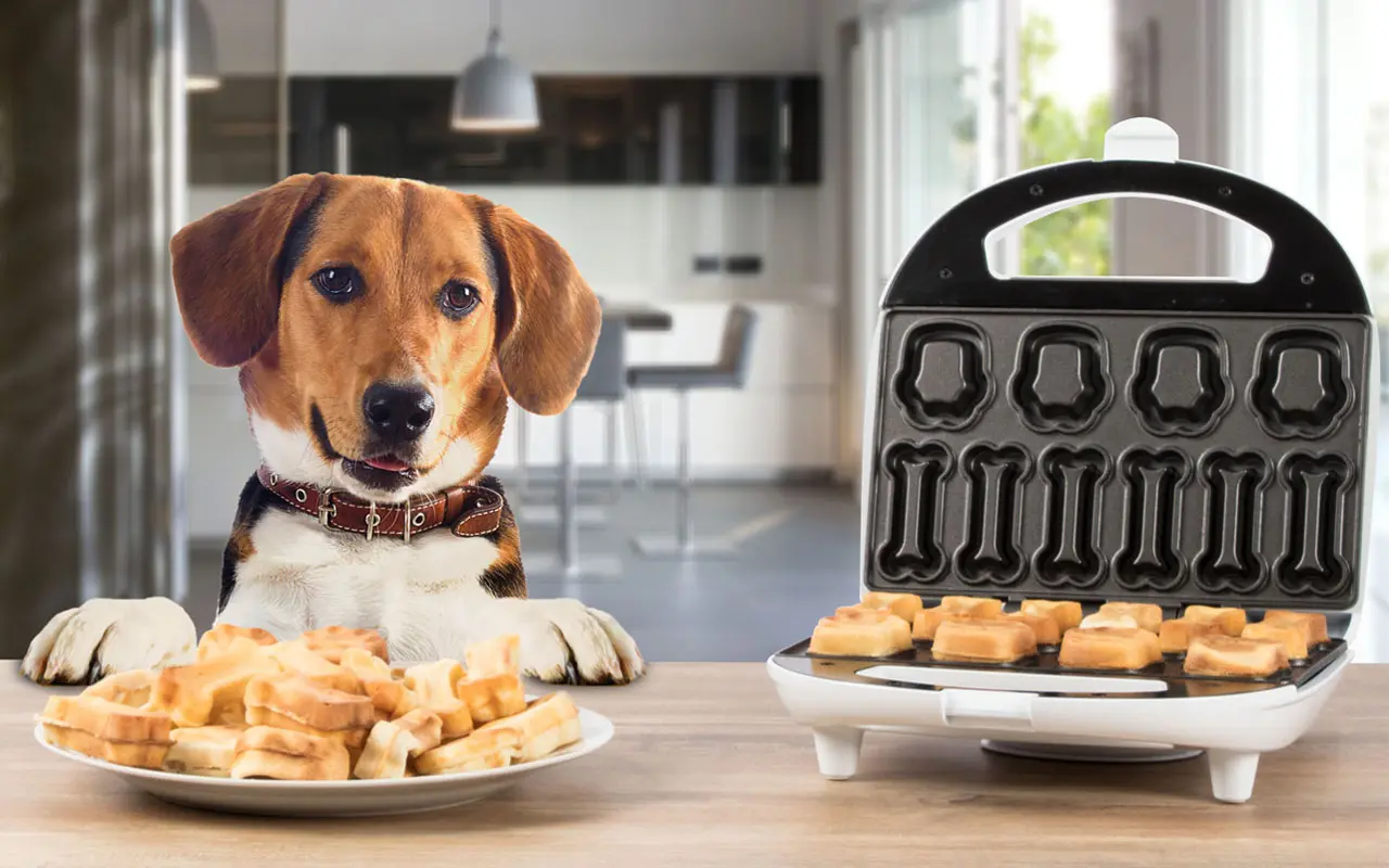 Clatronic Dog Cookie Maker DCM 3683