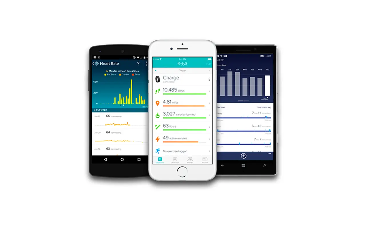 Fitbit App