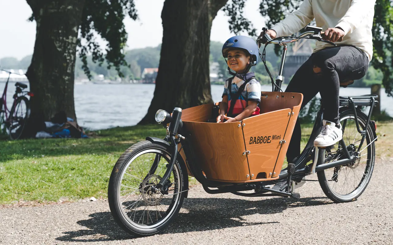 Babboe Mini-Elektro