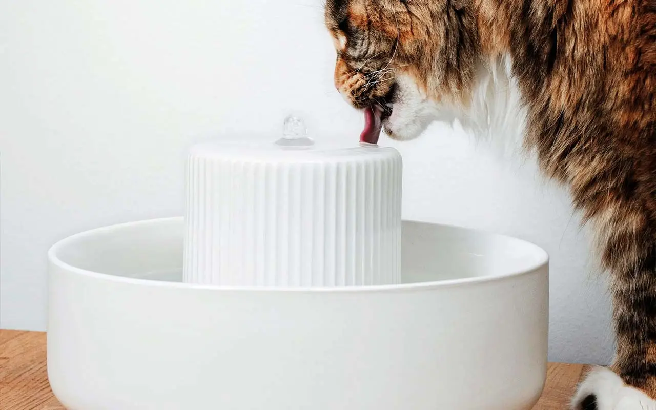 LucyBalu TREVI Trinkbrunnen