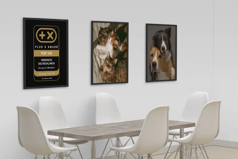 Besprechungsraum mit Tisch und sechs Stühlen; an der Wand ein gerahmtes Plus X Award Siegel „Top 100 Tierärzte Deutschlands, Kategorie Kleintiere“ neben zwei gerahmten Tierbildern