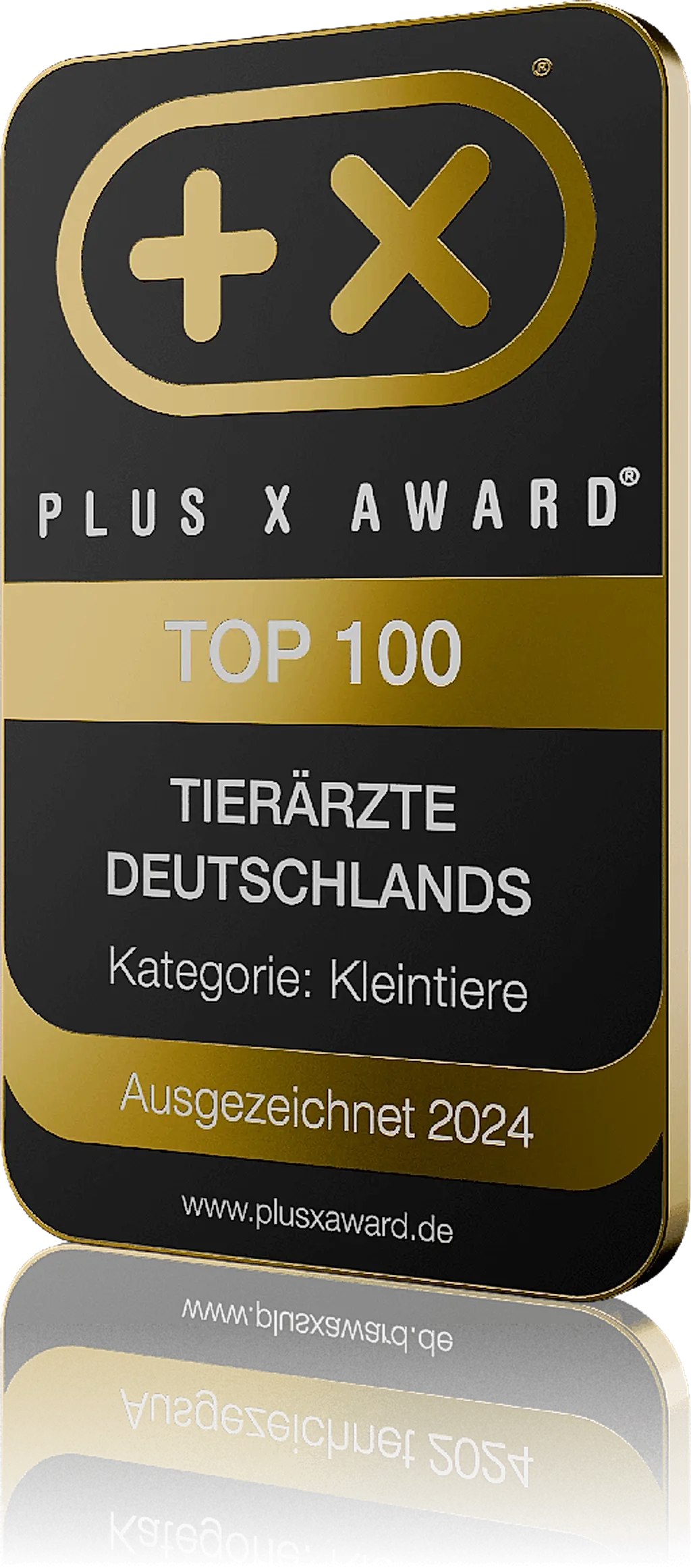 Siegel „Top 100 Chiropraktiker Deutschlands“