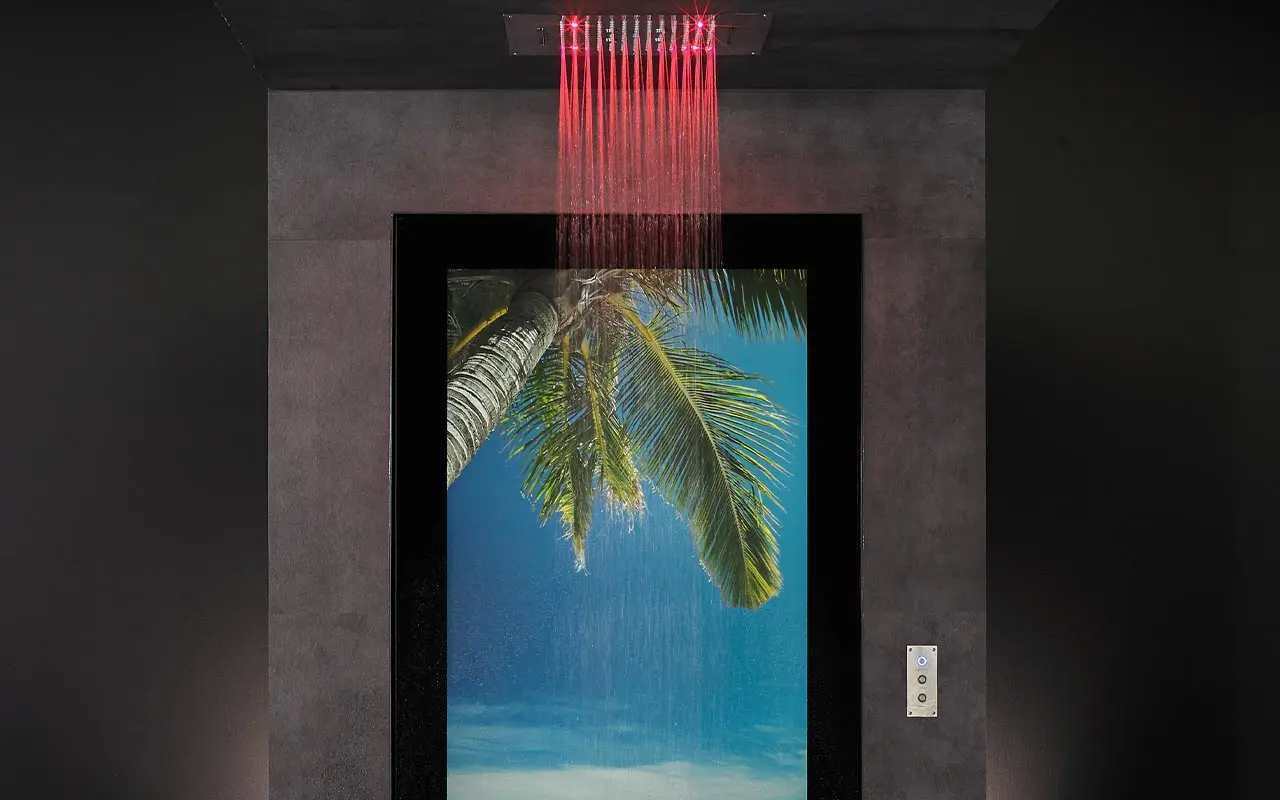WDT ShowerVision