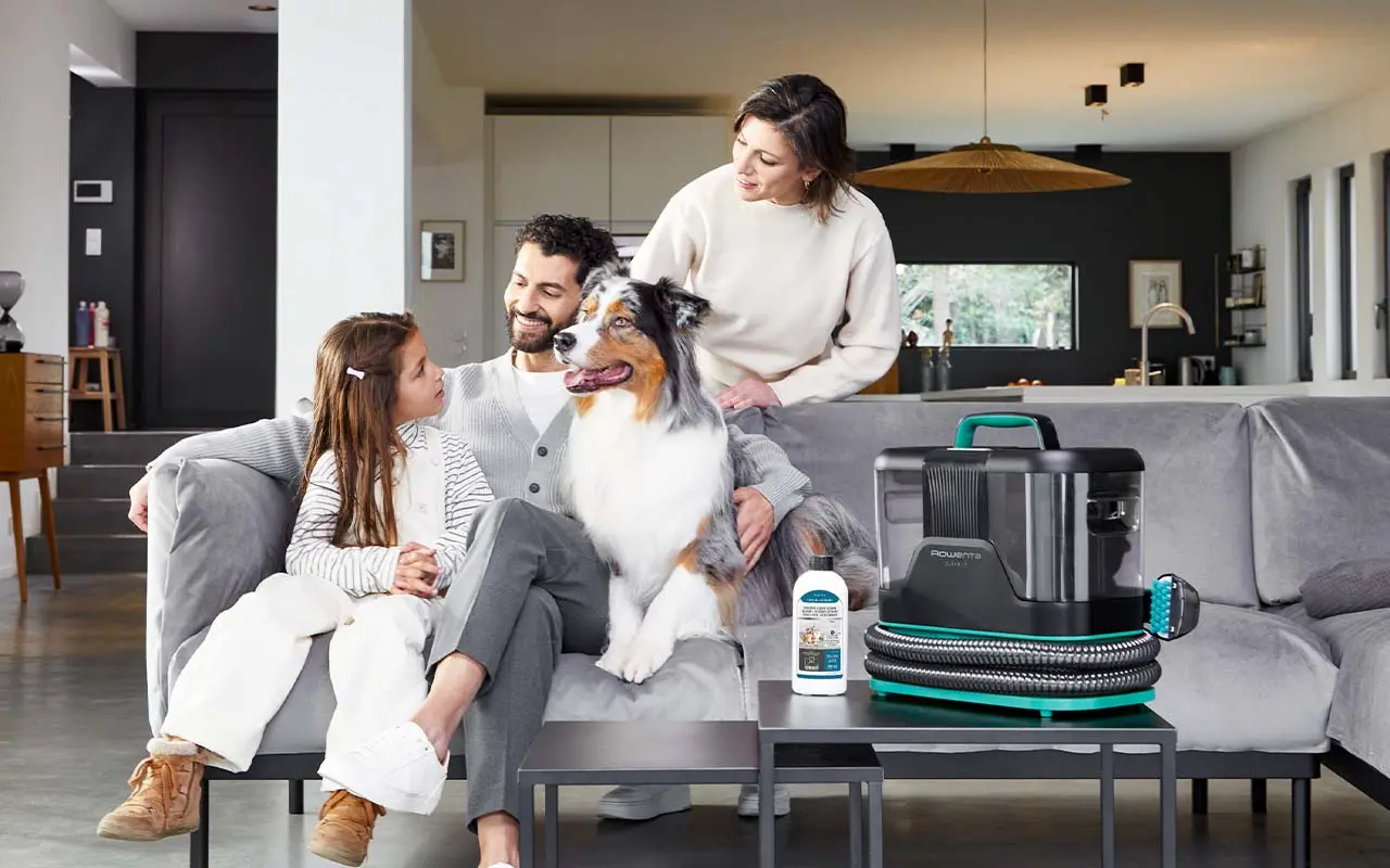ROWENTA Clean It Fleckenreiniger