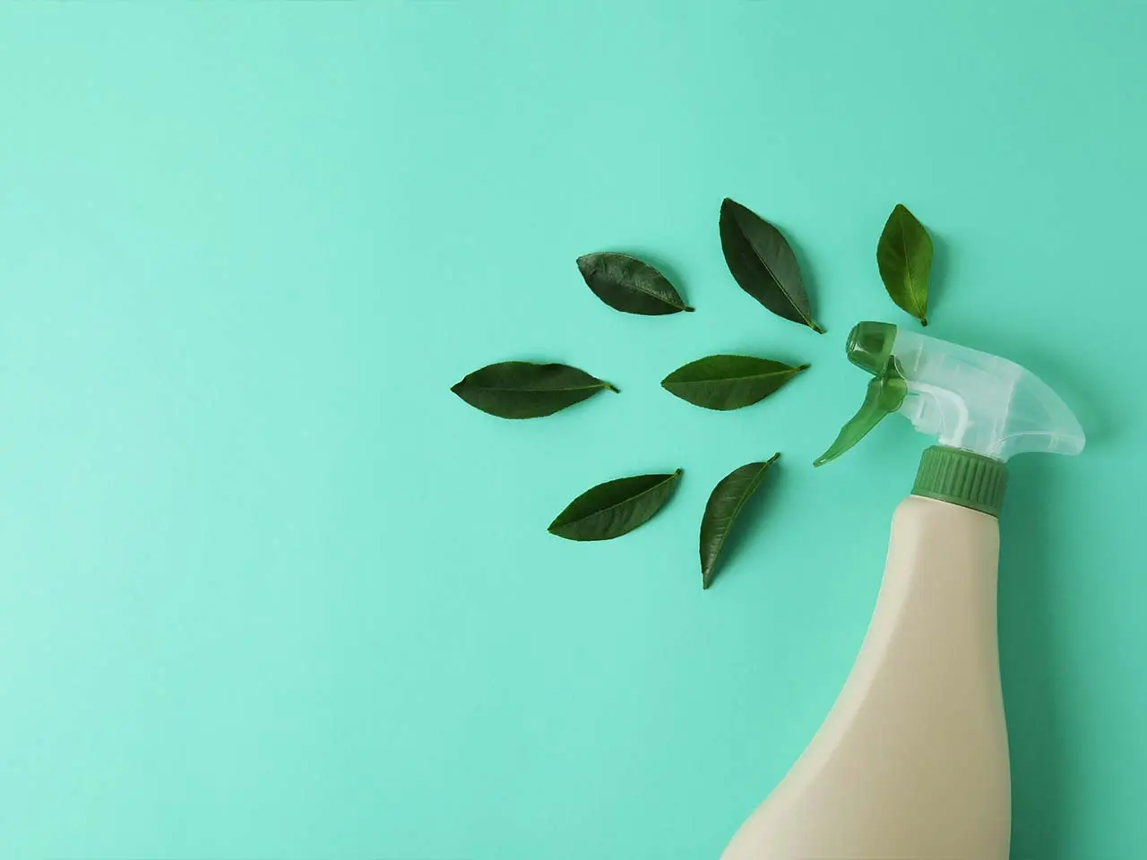 Sprühflasche mit grünen Blättern auf mintfarbenem Grund als Sinnbild für nachhaltiges Reinigen