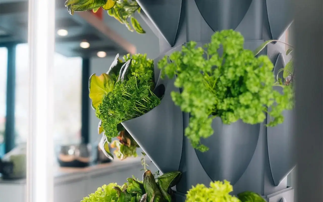 Greeny+ greenyGARDEN HOME