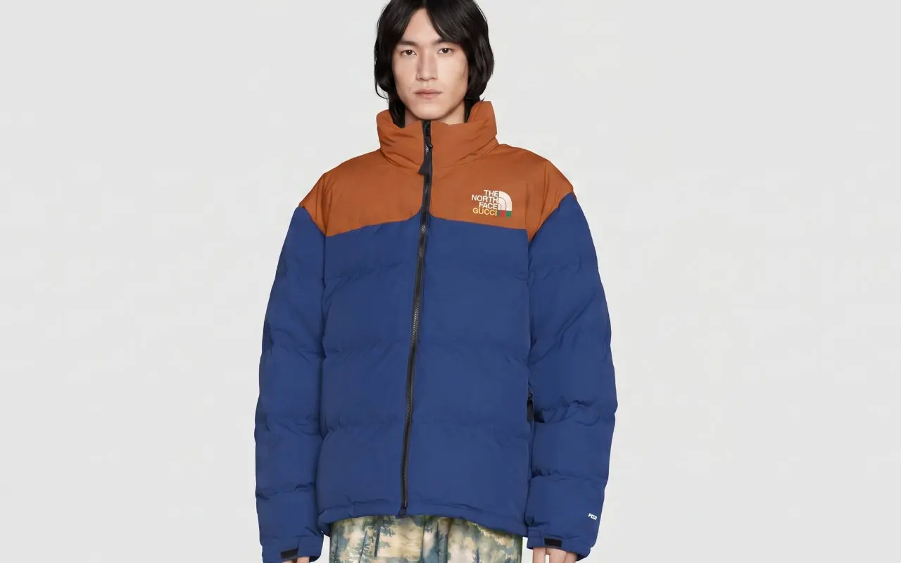 GUCCI x THE NORTH FACE Jacket