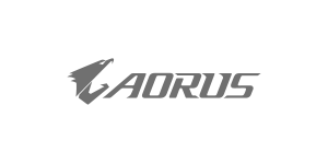 Aorus