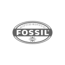 Fossil